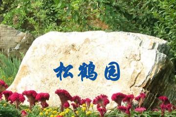 呼和浩特松鹤园